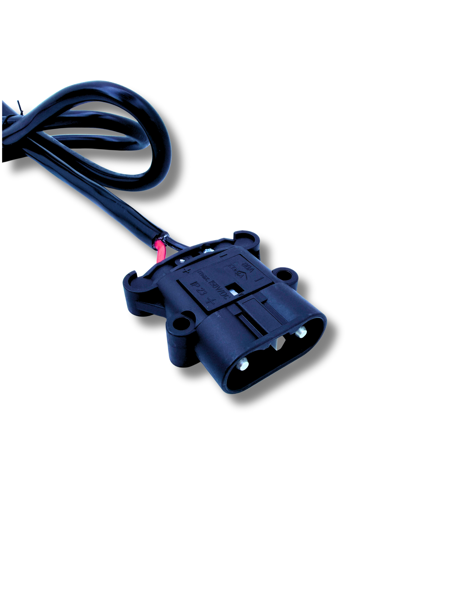 24V 30A Batterie Ladegerät DIN80A Stecker